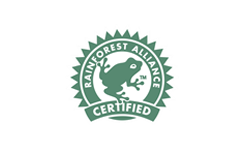 Cafeology Rainforest Alliance Certified Coffee